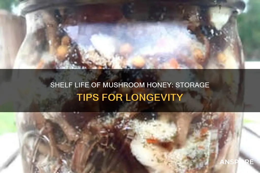 how long does mushroom honey last