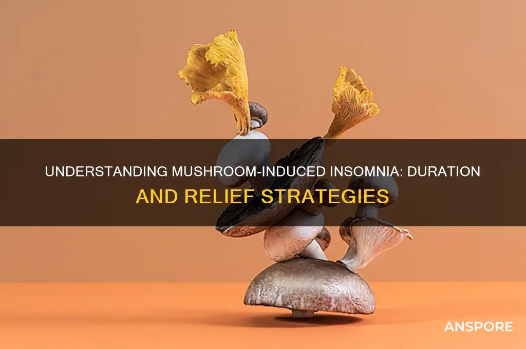 how long does mushroom insomnia last