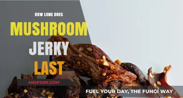 Shelf Life of Mushroom Jerky: Storage Tips for Maximum Freshness