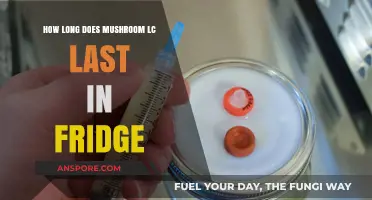 How Long Does Mushroom Liquid Culture Last in the Fridge?