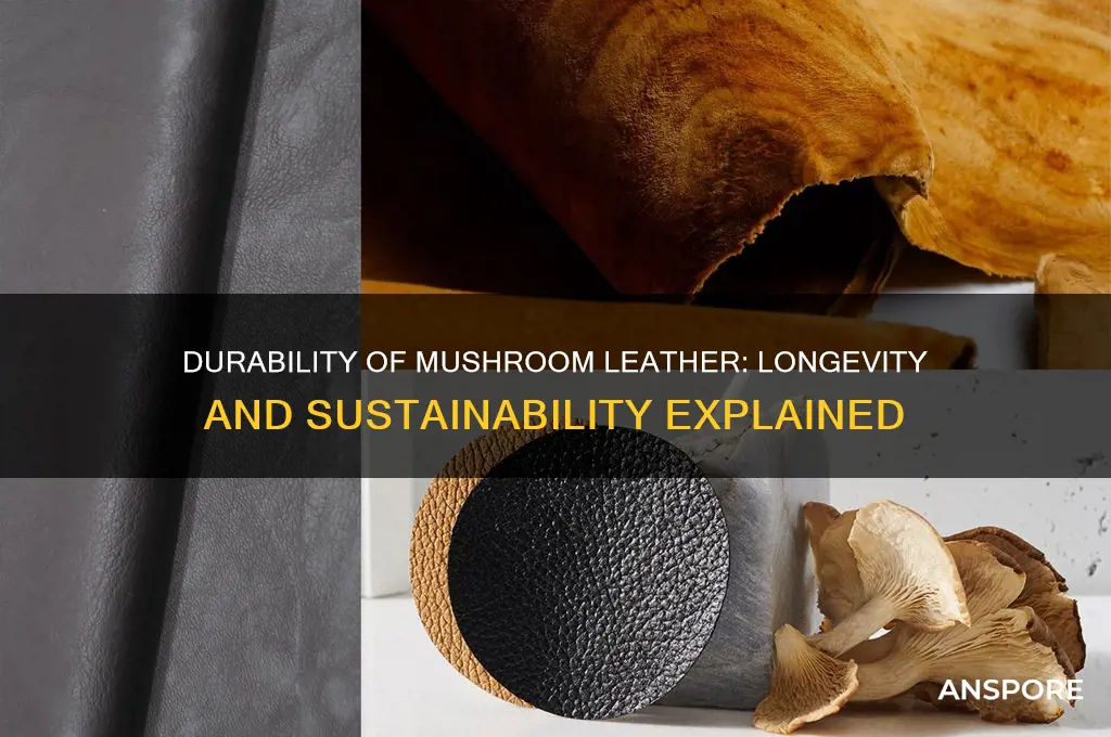 how long does mushroom leather last