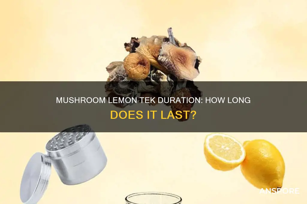 how long does mushroom lemon tek
