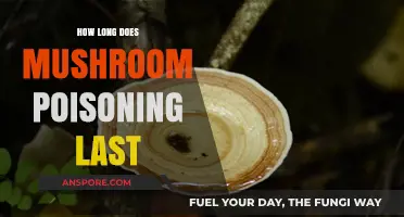 Understanding Mushroom Poisoning Duration: Symptoms, Treatment, and Recovery Timeline