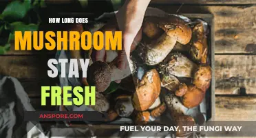 Maximizing Mushroom Freshness: Storage Tips and Shelf Life Explained