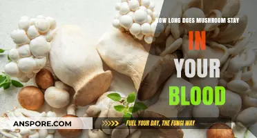How Long Do Mushrooms Stay in Your Bloodstream?