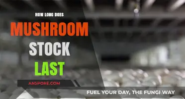 Maximizing Mushroom Stock Shelf Life: Storage Tips and Duration Guide