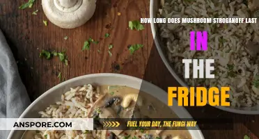 Mushroom Stroganoff Storage Guide: Fridge Lifespan and Freshness Tips