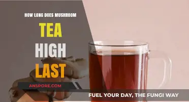 Exploring the Duration of Mushroom Tea's Psychedelic High