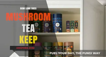 Shelf Life of Mushroom Tea: Storage Tips for Freshness and Potency