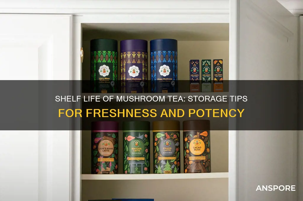 how long does mushroom tea keep