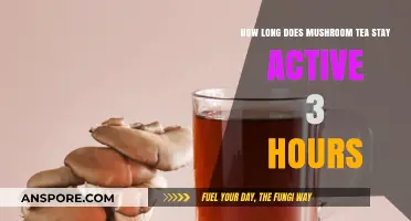 Mushroom Tea Potency: How Long Does It Stay Active After 3 Hours?