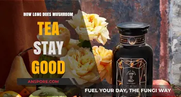 Shelf Life of Mushroom Tea: How Long Does It Last?