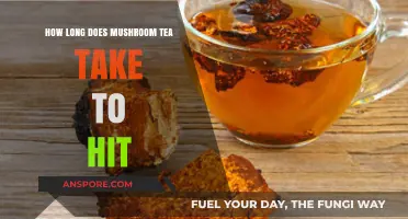 Mushroom Tea Effects: Timing and Factors Influencing Onset