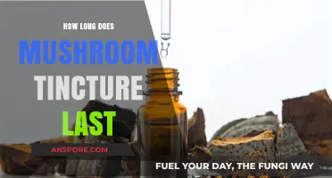Mushroom Tincture Shelf Life: How Long Does It Last?