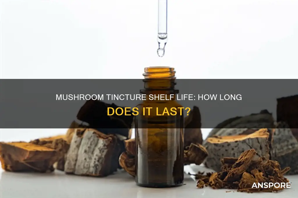 how long does mushroom tincture last