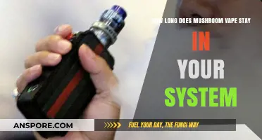 Mushroom Vape Detection: How Long Does It Stay in Your System?