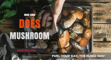 How Long Do Mushrooms Last: Storage Tips and Freshness Guide