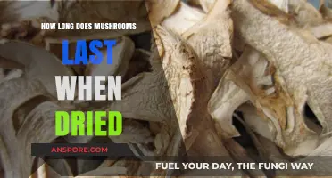 Dried Mushrooms Shelf Life: How Long Do They Last?