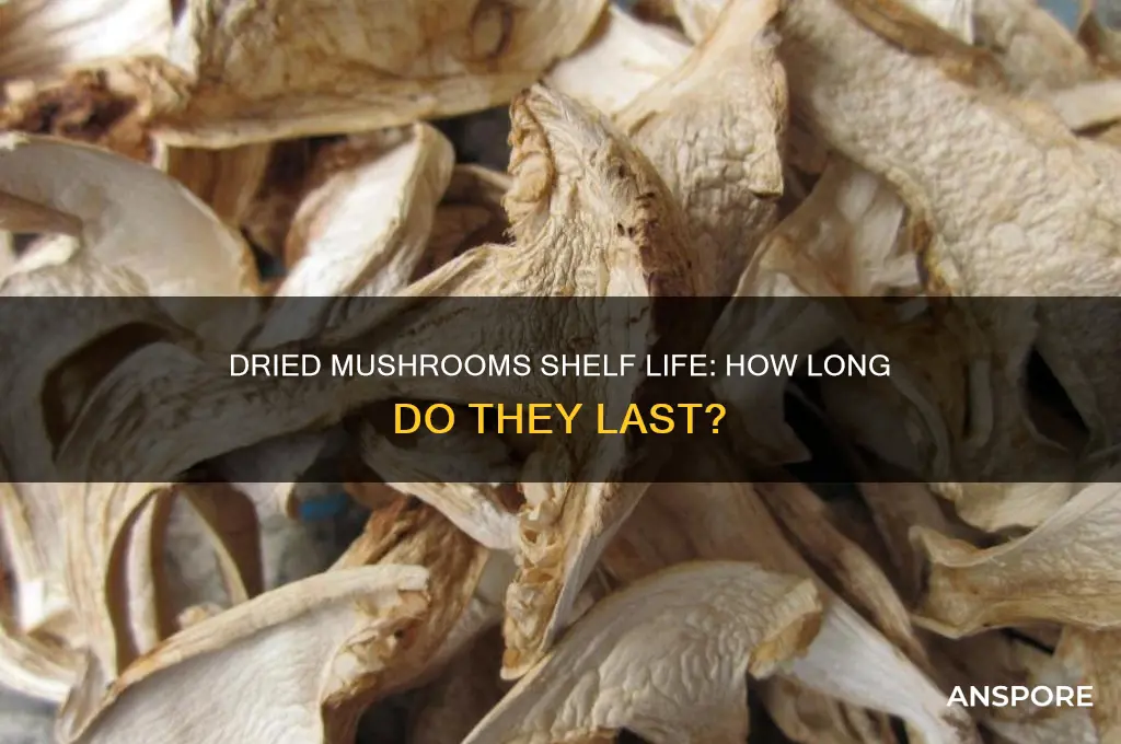 how long does mushrooms last when dried