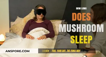 Do Mushrooms Sleep? Unveiling Their Resting Patterns and Cycles