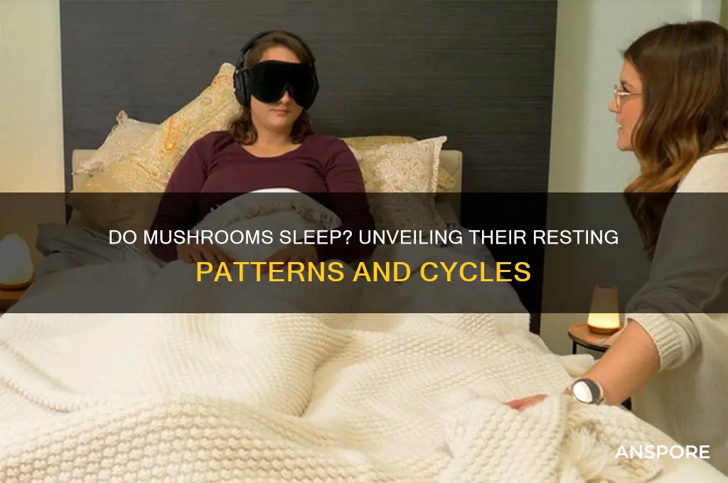 how long does mushrooms sleep