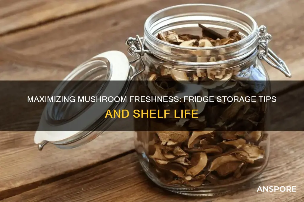 how long does mushrooms stay fresh in fridge