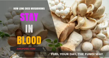 How Long Do Mushrooms Stay in Your Bloodstream?