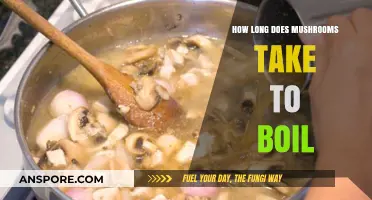 Boiling Mushrooms: Quick Tips for Perfectly Cooked Fungi