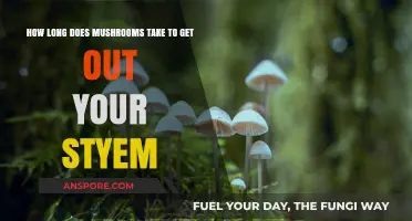 How Long Do Mushrooms Stay in Your System? A Complete Guide