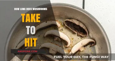 How Long Does It Take for Mushrooms to Kick In?