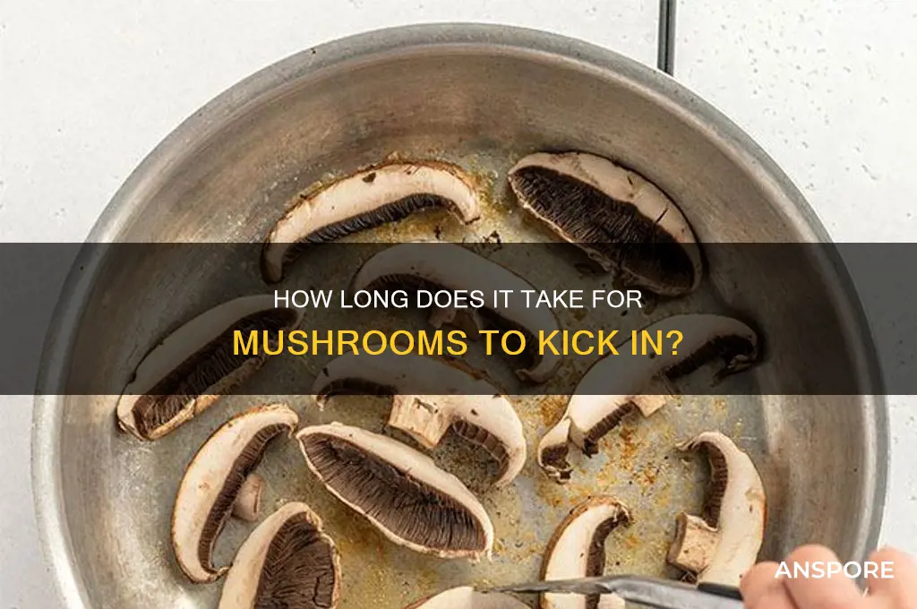 how long does mushrooms take to hit
