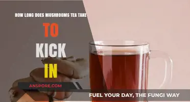 Mushroom Tea Effects: Timing and Factors Influencing Onset