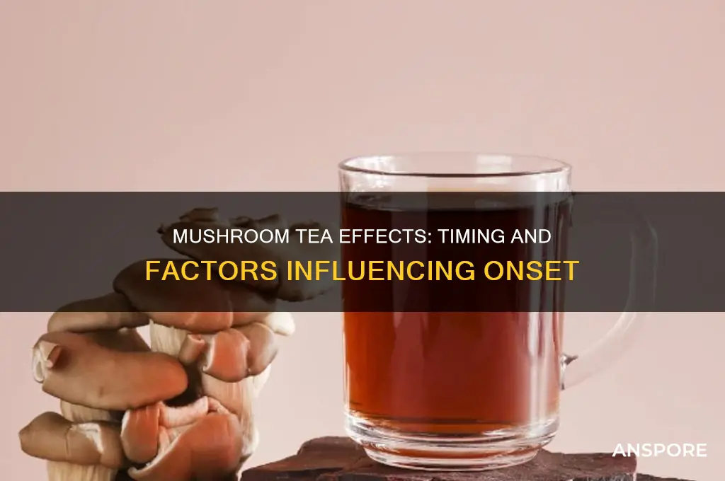 how long does mushrooms tea take to kick in