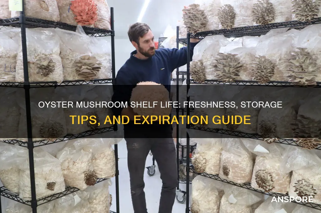 how long does oyster mushroom last