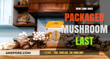 Shelf Life of Packaged Mushrooms: Storage Tips and Freshness Guide