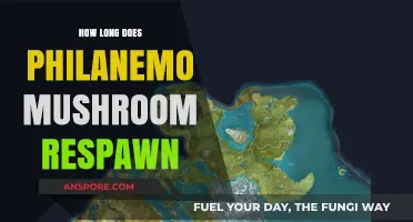 Philanemo Mushroom Respawn Time: How Long to Wait for Regrowth