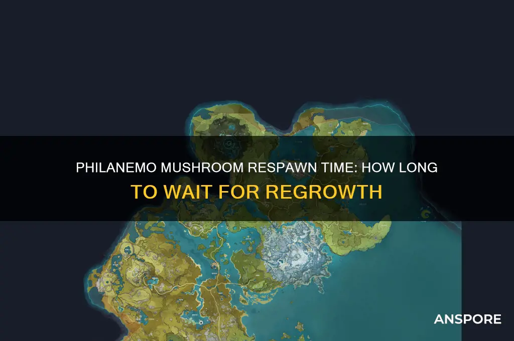 how long does philanemo mushroom respawn