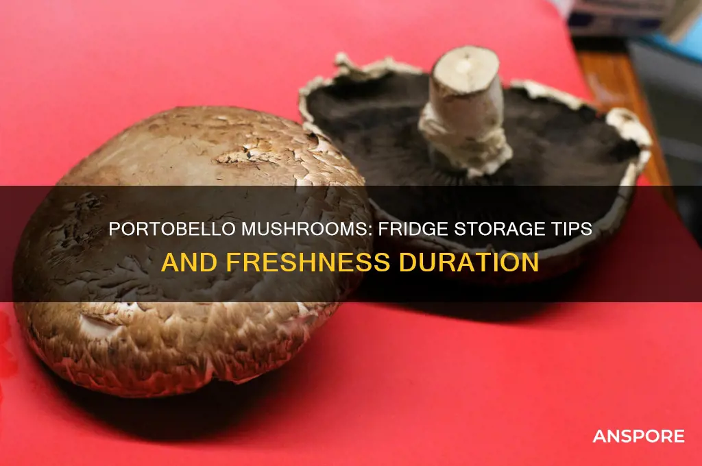 how long does portobello mushrooms keep in the fridge