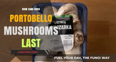 Portobello Mushrooms Shelf Life: Storage Tips for Freshness and Longevity