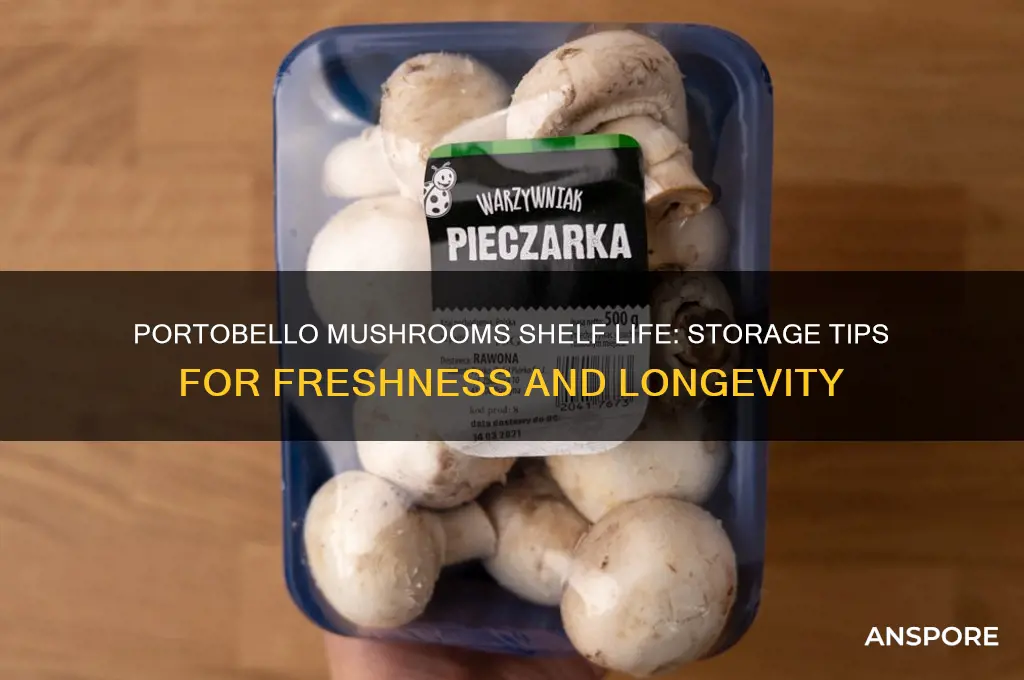 how long does portobello mushrooms last