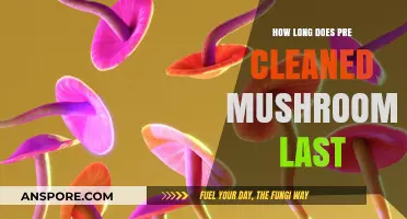 Pre-Cleaned Mushrooms Shelf Life: How Long Do They Stay Fresh?