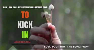 Psychedelic Mushrooms: Understanding the Onset Time and Effects