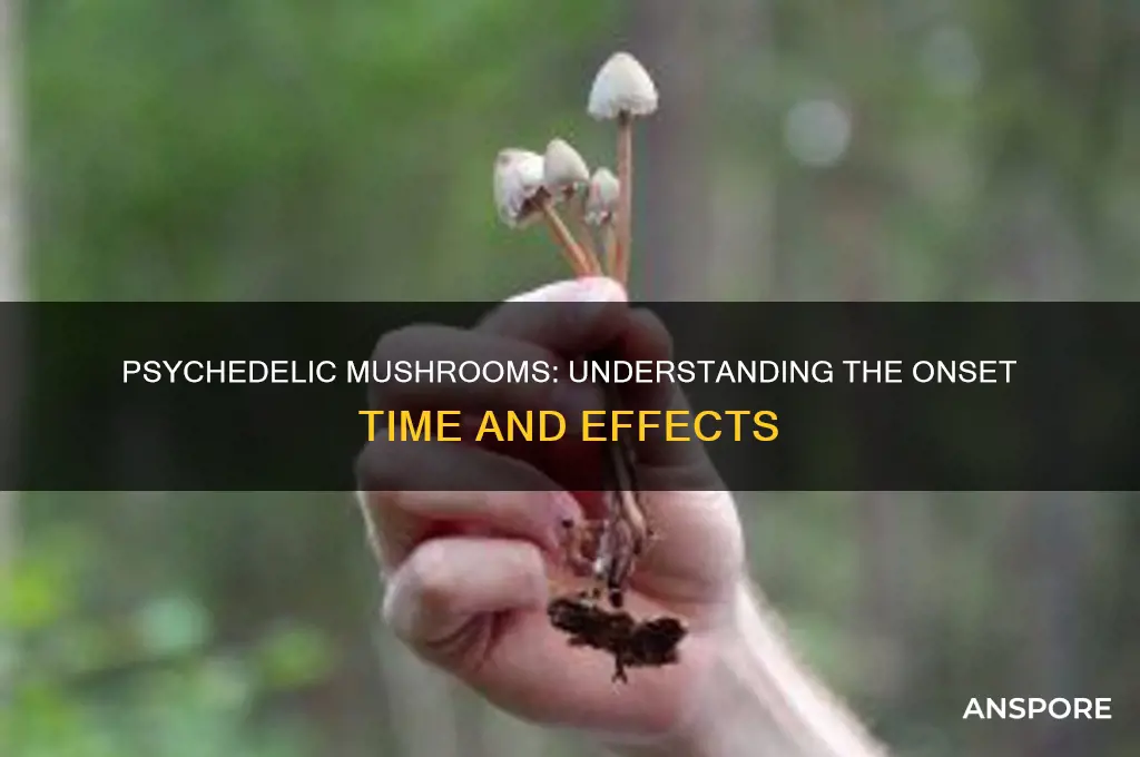how long does psychedelic mushrooms take to kick in