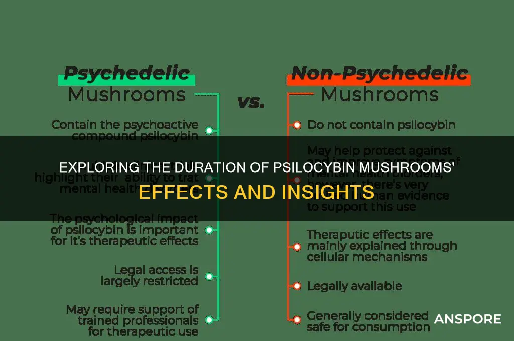 how long does psycibin mushrooms