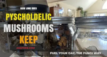 Psychedelic Mushrooms Shelf Life: Storage Tips and Freshness Duration