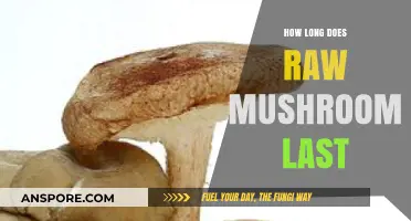 Raw Mushroom Shelf Life: How Long Do They Stay Fresh?