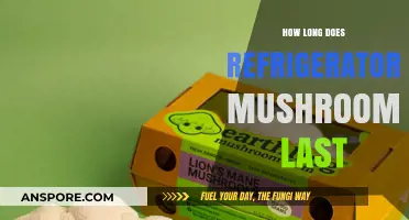Maximizing Freshness: How Long Do Refrigerated Mushrooms Stay Edible?