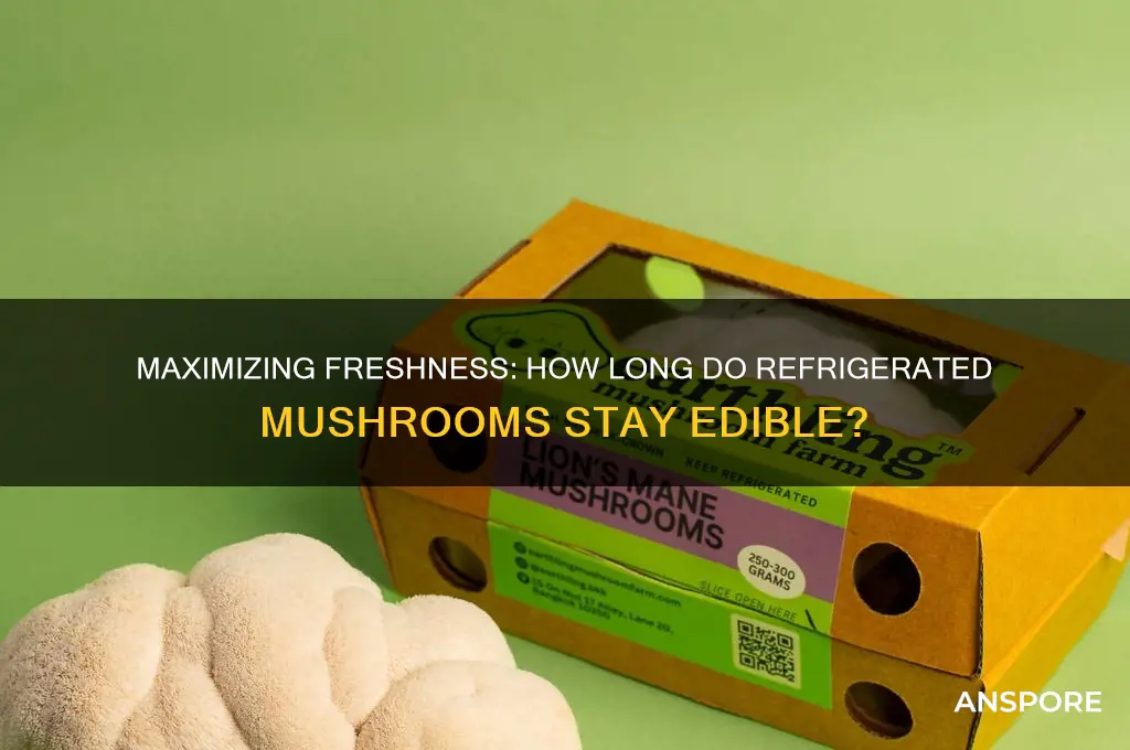 how long does refrigerator mushrooms last