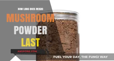 Reishi Mushroom Powder Shelf Life: Storage Tips for Maximum Freshness