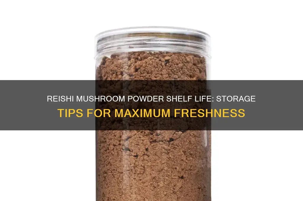 how long does reishi mushroom powder last